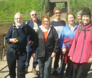 Members of the Shorter Walks Group on the Teddesley, Dunston and Acton Trussell walk 11.05.15