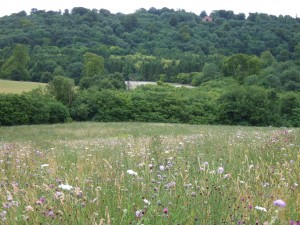 Review of outing to Highclere Castle 20.7.2015